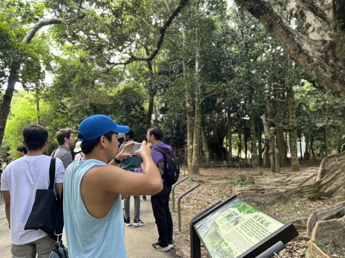 學生實地踏查Image